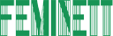 Feminett Oy