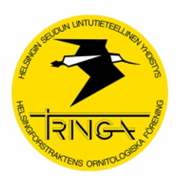 Tringa Oy