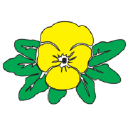 Veihtilahden Puutarha Oy