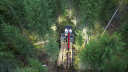 Varis Forest Oy