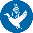 Valinta-Viks Oy