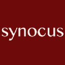 Synocus Oy