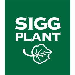 Oy Helge Sigg Ab