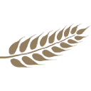 Pielispakari Group Oy