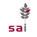 Strategy Analysis International SAI Finland Oy
