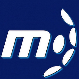 M-Team Halli Oy