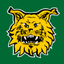 Ilves-Hockey Oy