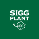 Oy Sigg-Plant Ab