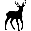 Pohjolan Luonto ja Kala Oy