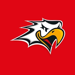 Hockey-Team Vaasan Sport Oy