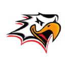 Hockey-Team Vaasan Sport Oy