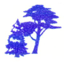 B.D. Wood Oy