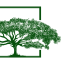 Asunto Oy Hollolan Mäntyrinne