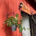 Tilitoimisto Humberg Oy