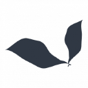 Lahden Hautauspalvelu Oy