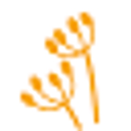 Nordic Caraway Oy