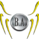 Business Angels Finland Oy