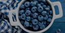 Marja Bothnia Berries Oy Ltd