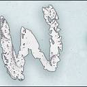 Winter Island Oy