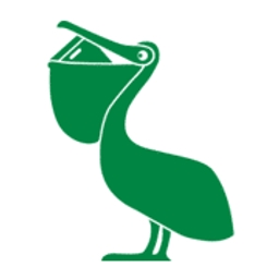 Pelican Finland Holding Oy