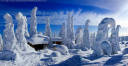Suomi-Holiday Oy