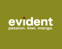 Evident Solutions Oy