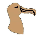 Albatross Paivakodit Oy