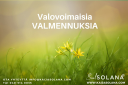 INTUITIVO OY