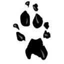 Cheetah Consulting Oy