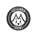 Ilveslahden Siivous Oy