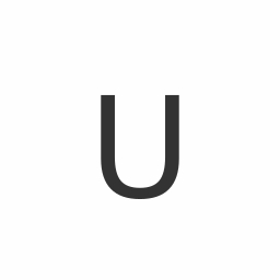 US Saneeraus Oy