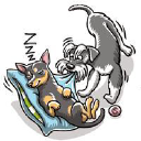 Pohjolan Tyttäret Oy