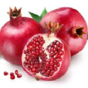 nikotiiniton sahkotupakat oy