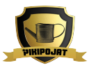 Suomen Pikipojat Oy