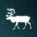 Nordic Venture Family Oy