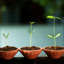 Biotech Start-Up Management Oy Ltd.