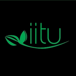 Markkinointi Iitu Oy