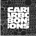 Carbons Finland Oy