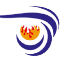 FSE Systems Oy