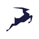 Antilooppi Management Oy