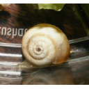 PRO Progressive Measures Oy