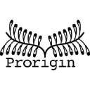 Prorigin Oy