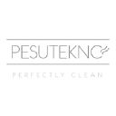 Pesutekno Oy
