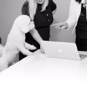 Pro Growth Consulting Oy
