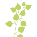 Uudet Tuulet Hoiva Oy