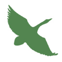 Albus Luontopalvelut Oy