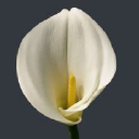 Hyvinkään Wanha Hautauspalvelu Oy