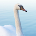SwanMedica Oy
