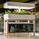 SmartGrow Solutions Oy