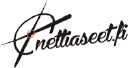 Nettiaseet Oy